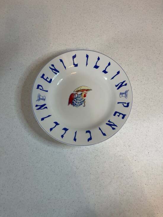 Sigma the Tastesetter Other - Vintage Sigma the Tastesetter Jewish Penicillin Chicken Soup Rimmed Bowl
